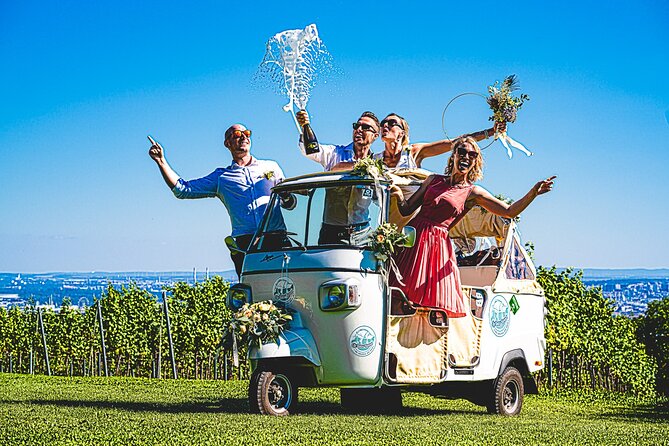 Wine Picknick overlocking vienna - How much value do you get for $299.18?