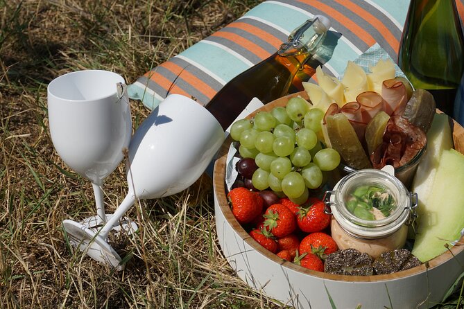 Wine Picknick overlocking vienna - Who should book this Vienna picnic?