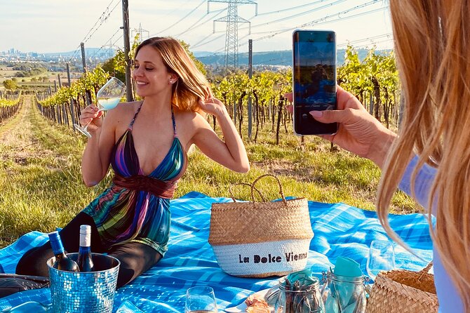 Wine Picknick overlocking vienna - The vineyard picnic above Vienna